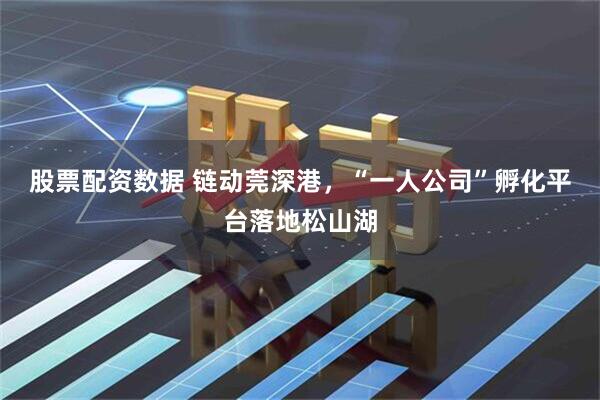 股票配资数据 链动莞深港，“一人公司”孵化平台落地松山湖